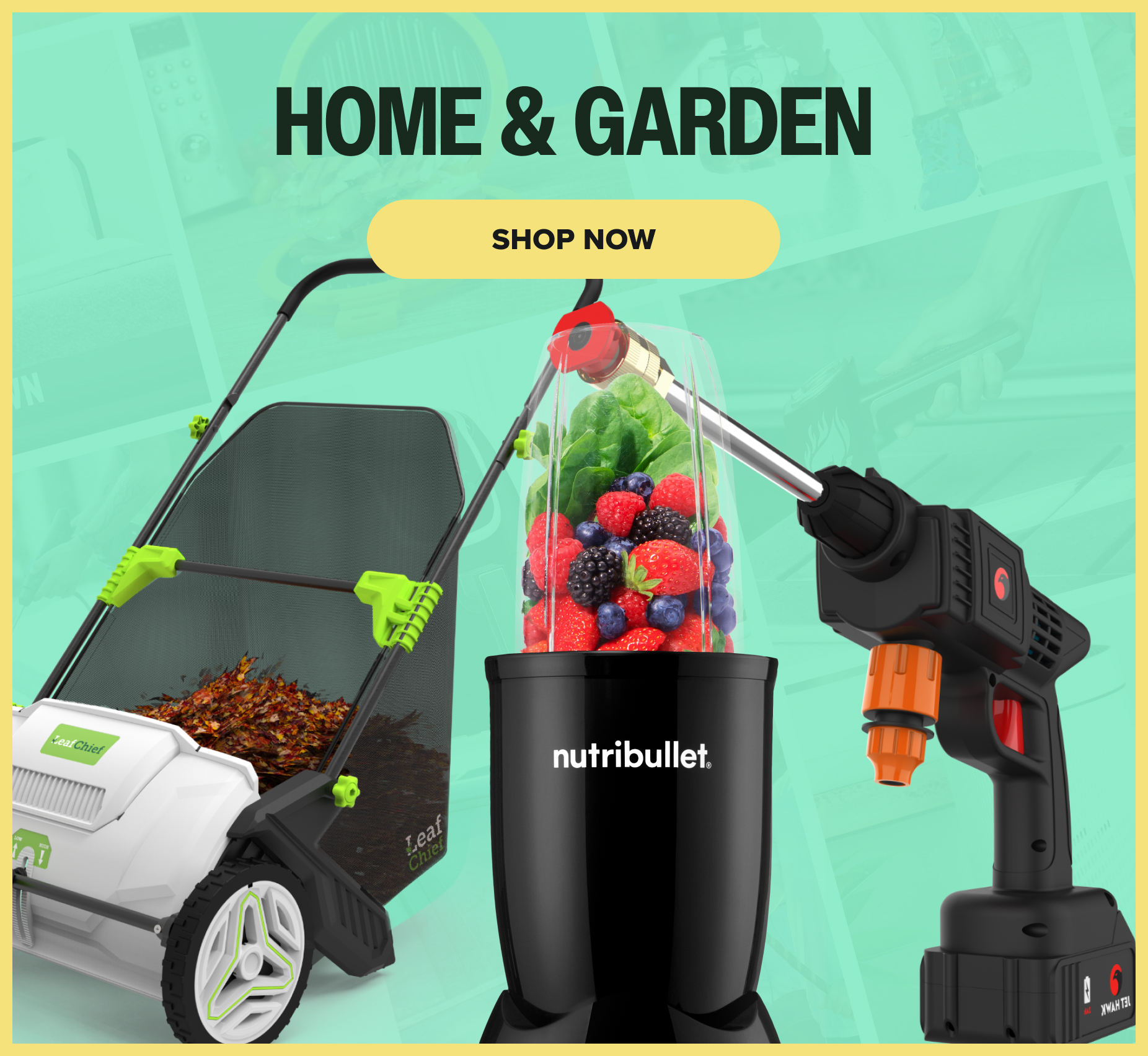 Home & Garden